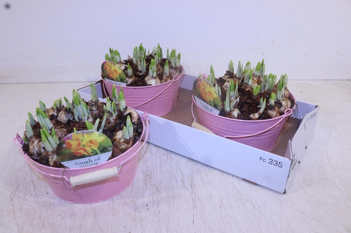 <h4>ARR N TETE A TETE</h4>