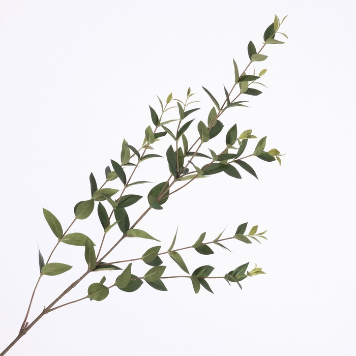 Ruscus Spray Green LV330117GRN