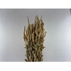 Dried Amaranthus Caud. Green Bunch