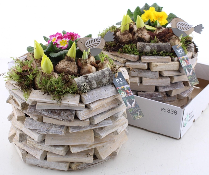 <h4>ARR PL IN SCHAAL</h4>