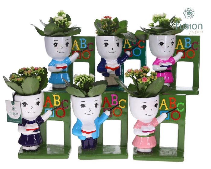 <h4>Keramiek back to school met Kalanchoe</h4>