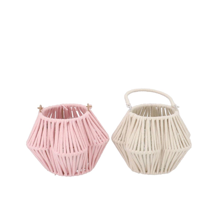 <h4>Cruz Pink White Lantern Flower Ass 11x20x14cm</h4>