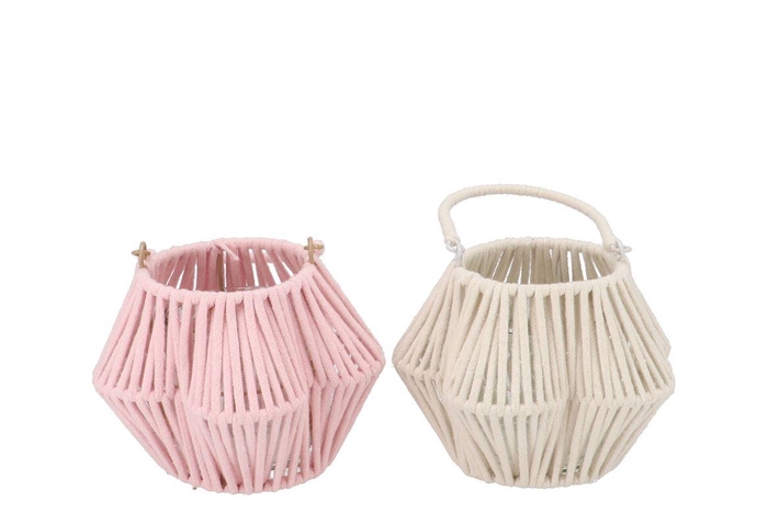 <h4>Cruz Pink White Lantern Flower Ass 11x20x14cm</h4>