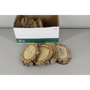 Cork Slices  D:20-25cm