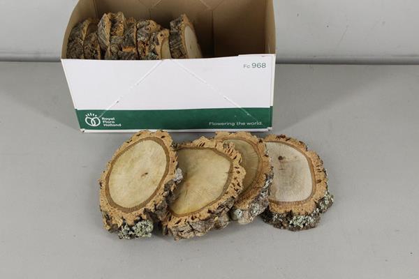 <h4>Cork Slices  D:20-25cm</h4>