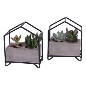 2x succulent mix in metalen huisplanter