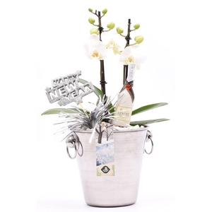 Champagnekoeler zilver 14 cm