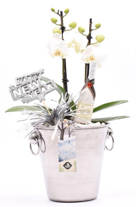 <h4>Champagnekoeler zilver 14 cm</h4>