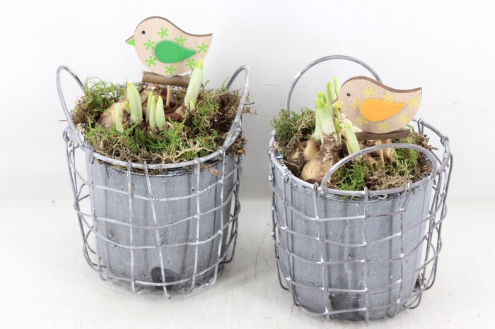 <h4>arr4 Narcis JS - Metaal cement pot</h4>