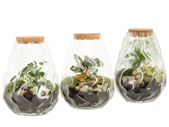<h4>90682: Terrarium arrangement</h4>