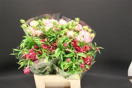 <h4>Ran Moderna Mix</h4>