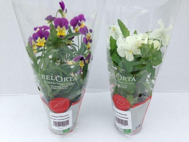 <h4>Eetbare bloemenmix P9</h4>