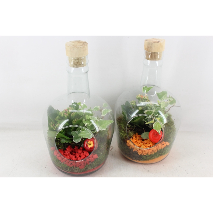 <h4>Arr2 Pl - Glazen Fles Dop - Oranje/rood</h4>
