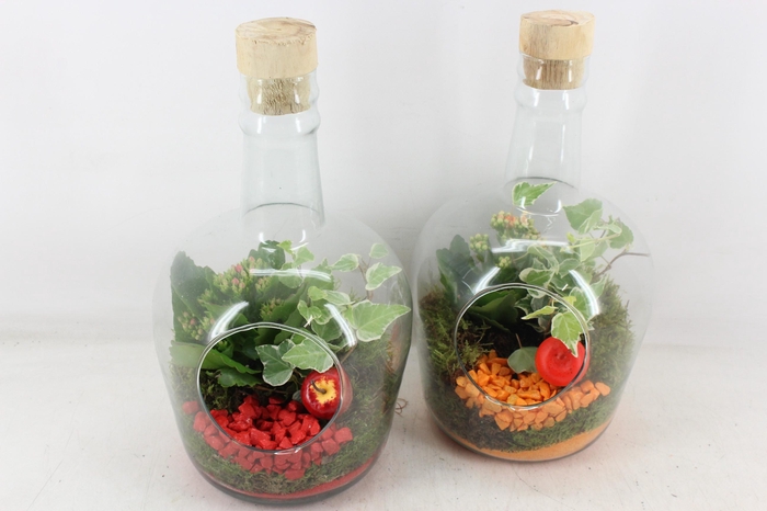 <h4>arr2 PL - Glazen fles dop - oranje/rood</h4>