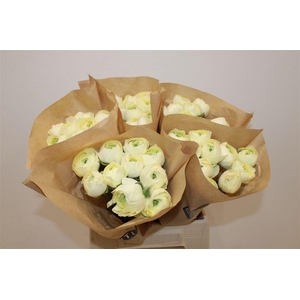 Ran Cloni Ex Commedia