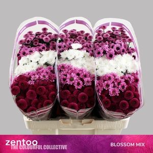 CHR S MIX BLOSSOM