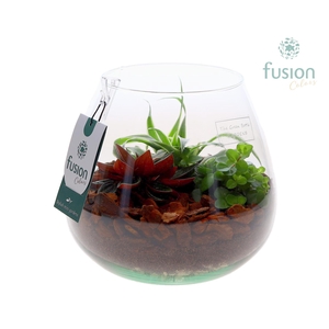 Green Bottle Abby Large met arangement