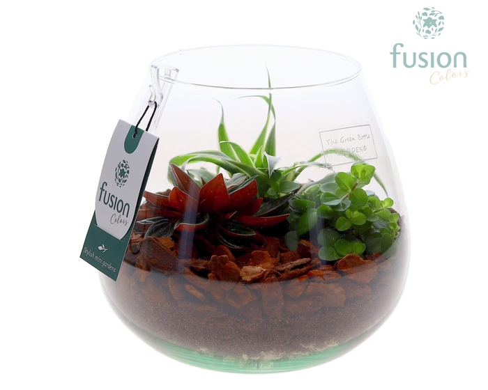 <h4>Green Bottle Abby Large met arangement</h4>