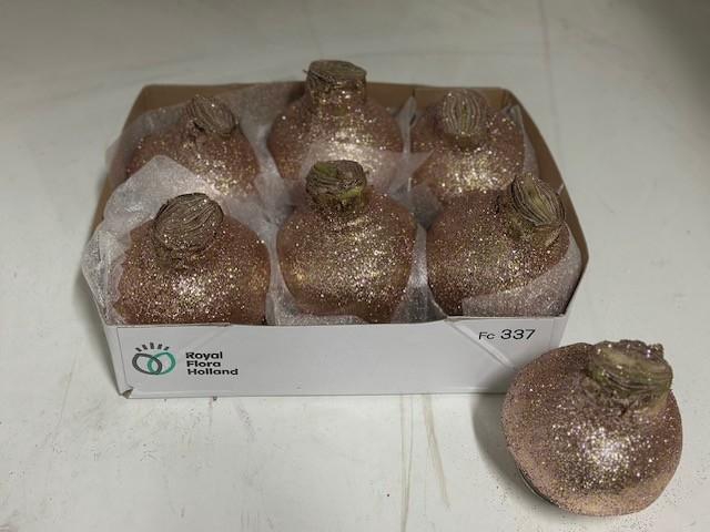 <h4>BLOEMBOL HIPPEASTRUM</h4>