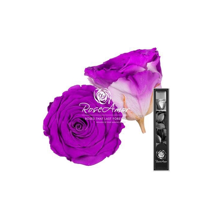 <h4>30cm Stem Bic05</h4>