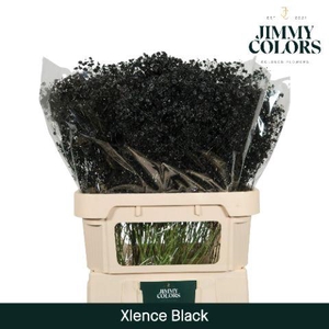 Gyps Xlence L80 Black