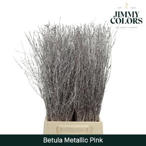 Betula L60 Mtlc. Roze