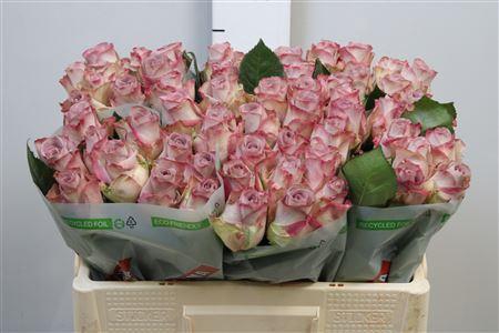 <h4>R Gr Memory Lane!</h4>