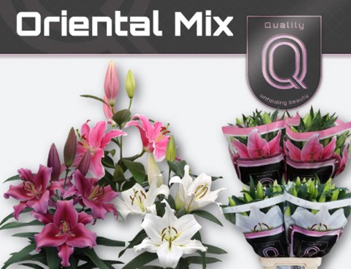 <h4>Li Or Mix In Bucket 4+ Qualily</h4>