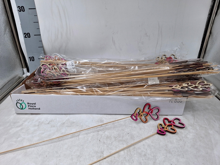 <h4>BIJSTEKERS H%</h4>