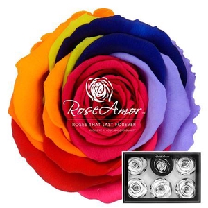 Xl Rainbow Red02