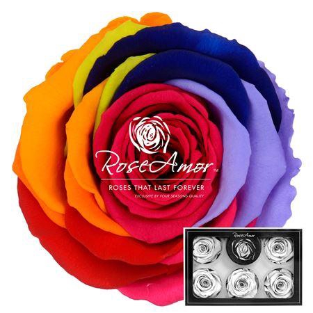 Xl Rainbow Red02