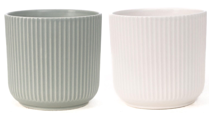 <h4>P&PURE Sophie ceramics 2 ass</h4>