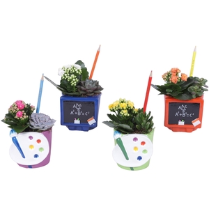 Thank you Teacher Arr. Succulent Ceramic Pot Teachermix Ø11cm