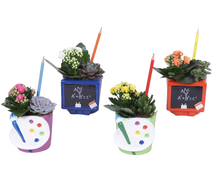 <h4>Thank you Teacher Arr. Succulent Ceramic Pot Teachermix Ø11cm</h4>