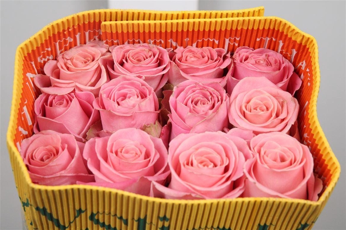 <h4>R Gr Hermosa Ec</h4>