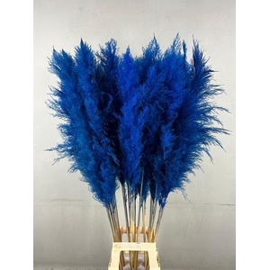 DF Pampas 130cm Dark Blue