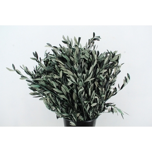 PF OLIVE BS 150GR