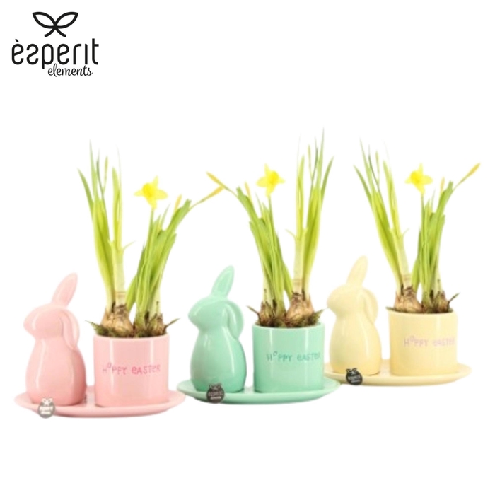 <h4>70831: Easter arrangement</h4>