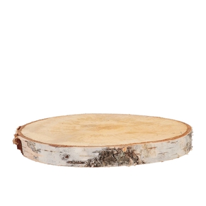 Nature Birch Slices Round D27-31cm X 3 Cm