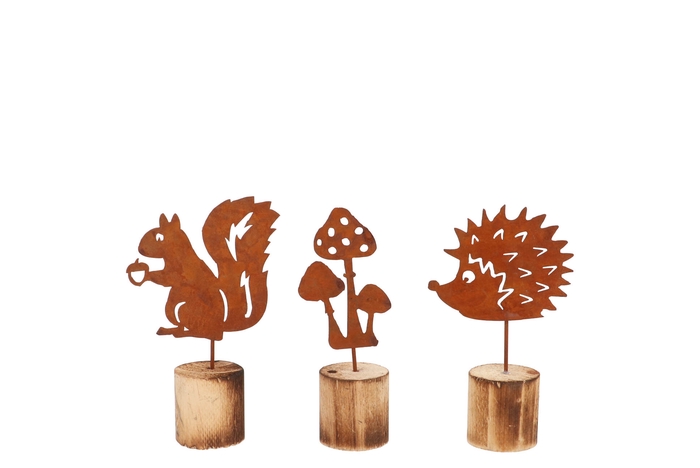 Rusty Wood Autumn Ass 17x10cm Nm