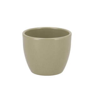 Ceramic Kiwi Stone Pot 10cm