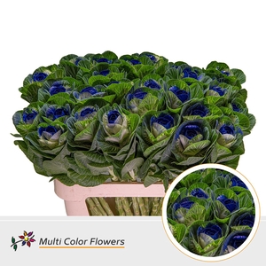 Brassica Naturel Hart Blauw donker