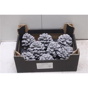 F-pinea Glitters Zilver