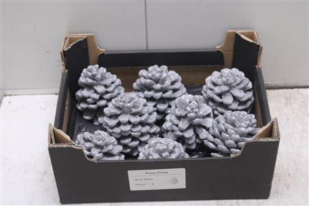 <h4>F-pinea Glitters Zilver</h4>