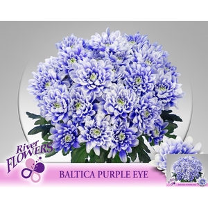 CHR T BALTICA KLB H%