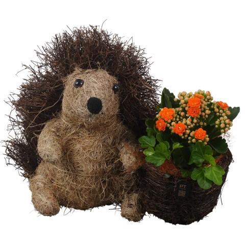 <h4>PTHI3332 Arrangement Autumn Indoor in rieten pot in egel vorm</h4>