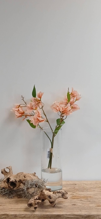 <h4>BOUGAINVILLEA BUNDLE PEACH BK770001 L40</h4>
