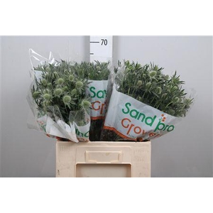 Eryn Mag Whit Lagoon