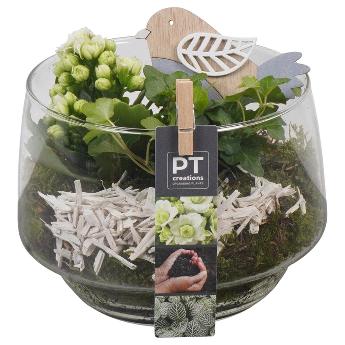 <h4>Arr.   Planten L%</h4>