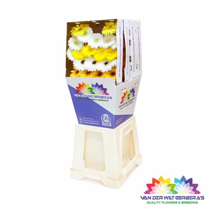 <h4>Germini Mix Geel Diamond</h4>